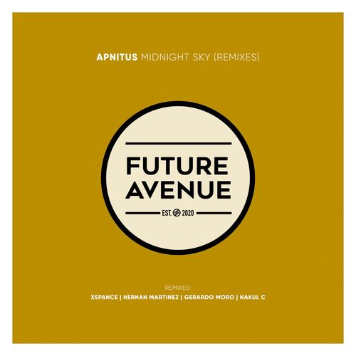 APNITUS - Midnight Sky (Remixes) [FA146]